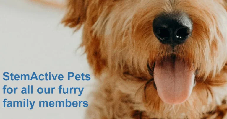 HealthyHome StemActive Pets for dogs, cats and all your animals